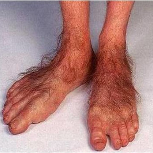 SHE WILL GO CRAZY OVER YOUR NEW HOBBIT FEET