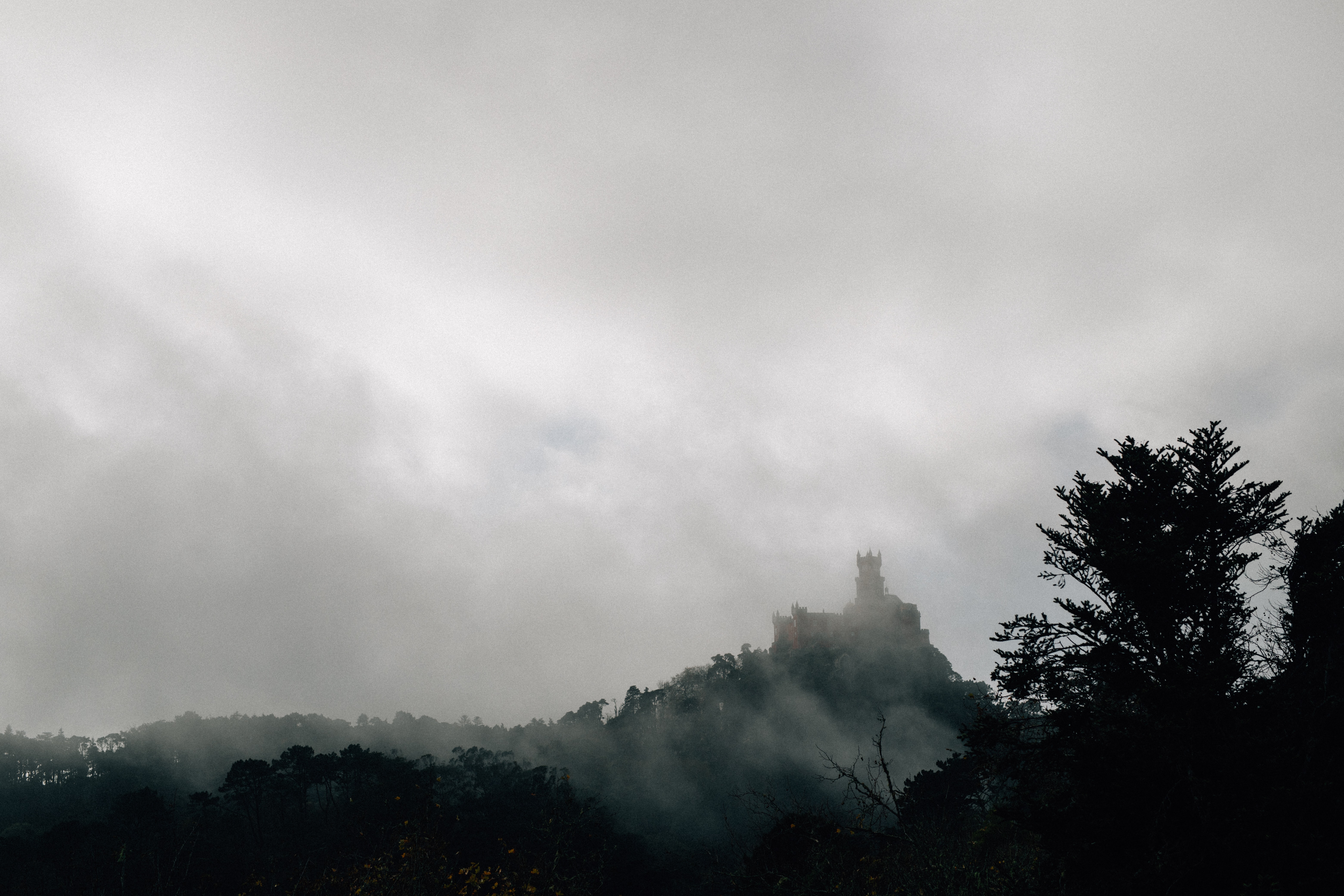 Upcoming Movie: ‘The Fog of Dr. Parchisi’