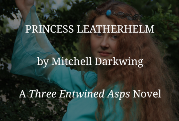 BOOK EXCERPT: ‘PRINCESS LEATHERHELM’ BY MITCHELL DARKWING