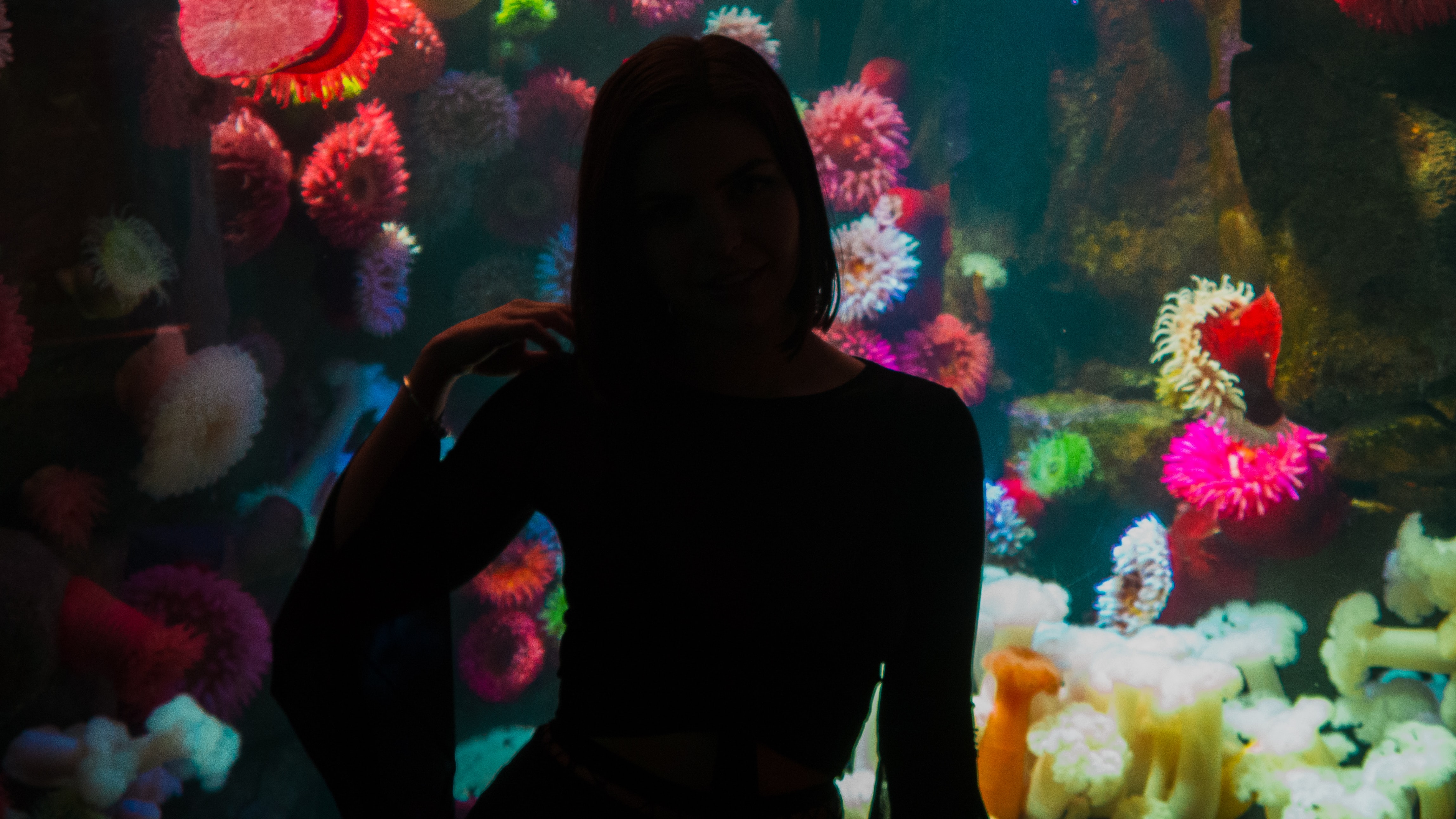 SHE MET HIM AT THE AQUARIUM. THIS IS WHERE THEY WENT NEXT