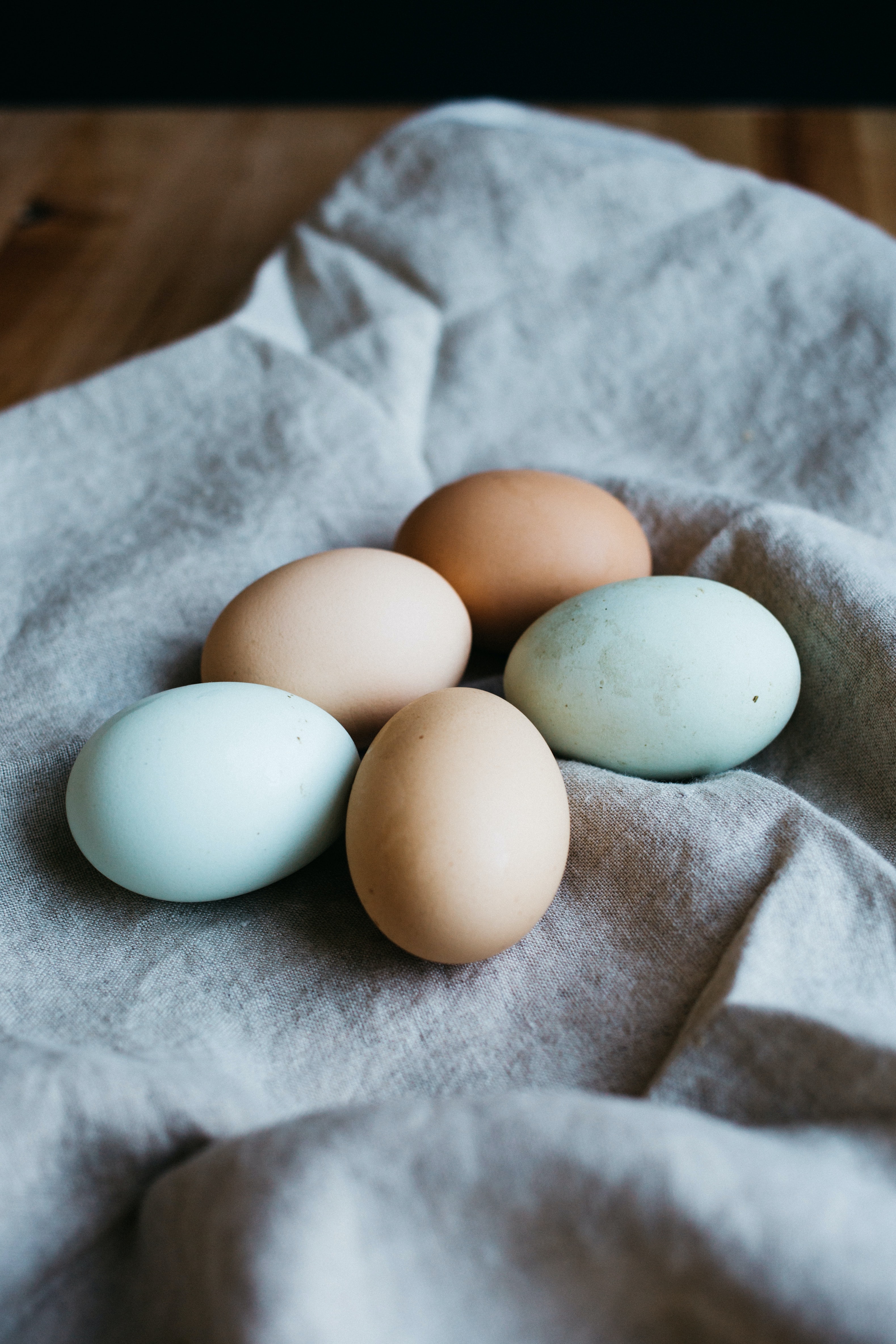 TROUBLING: IF EGGS COULD TALK