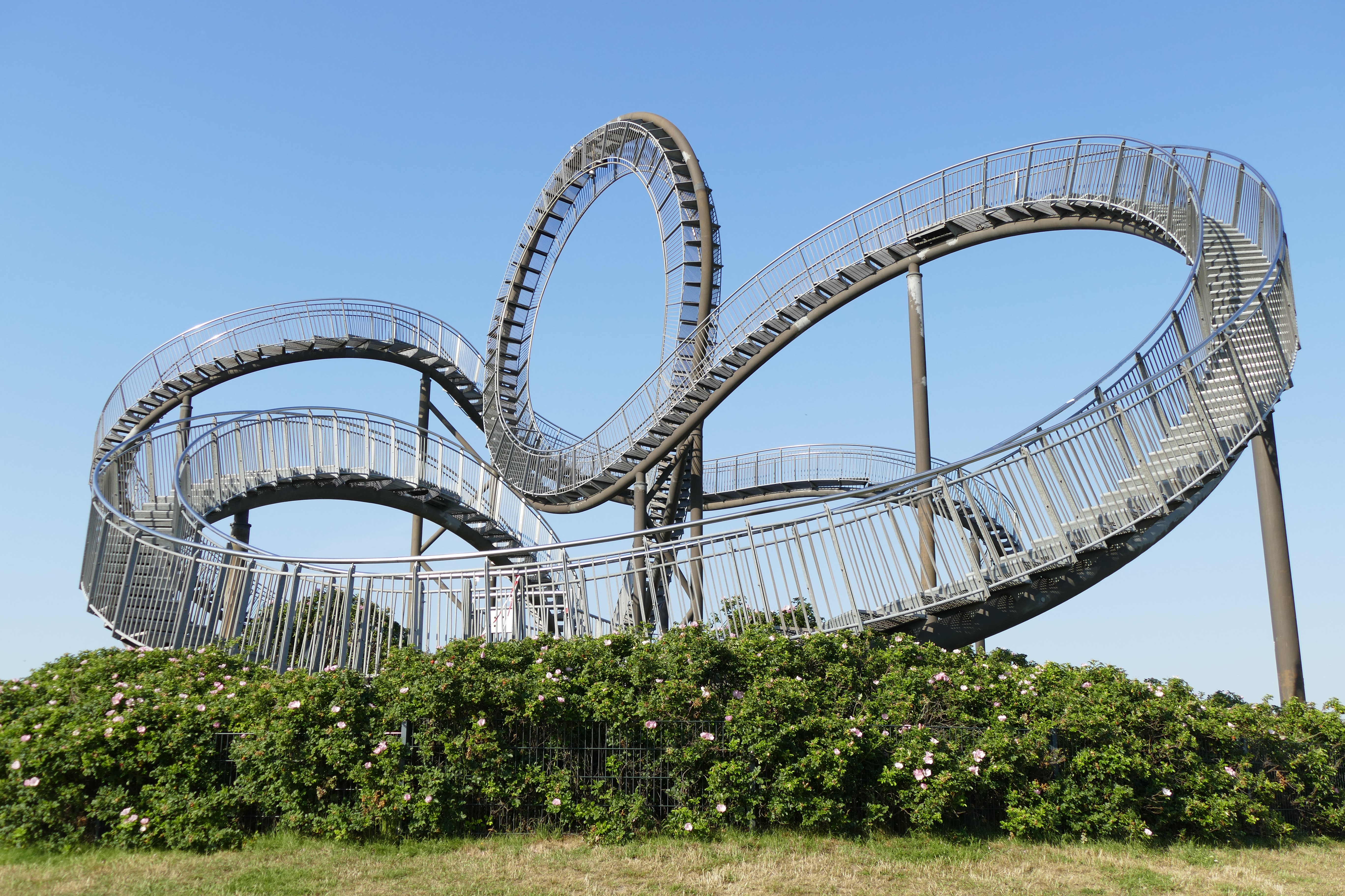 SO YOU BUILT A ROLLER COASTER. NOW WHAT?