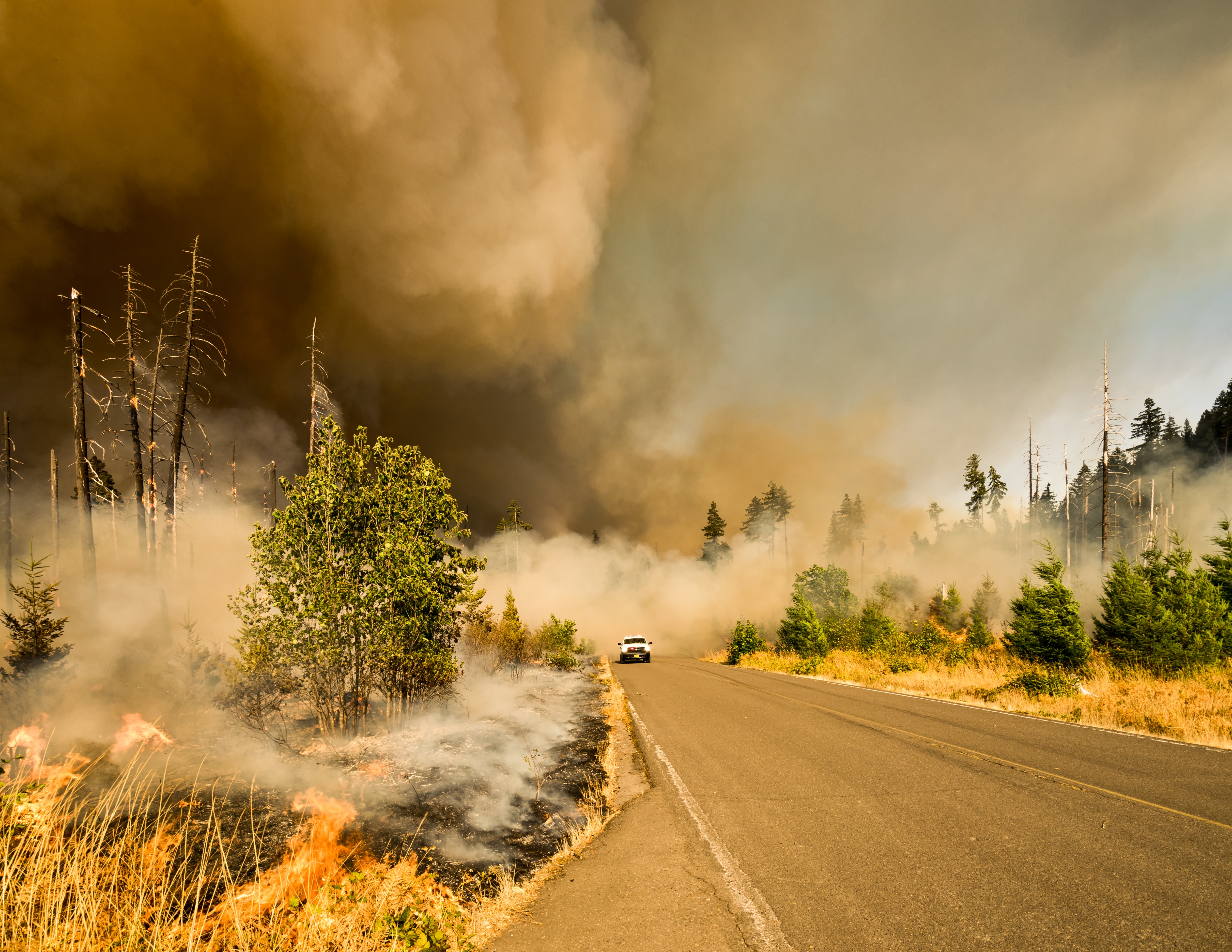 FIRE ON BOARD CROWDED CALIFORNIA LEAVES DOZENS INJURED