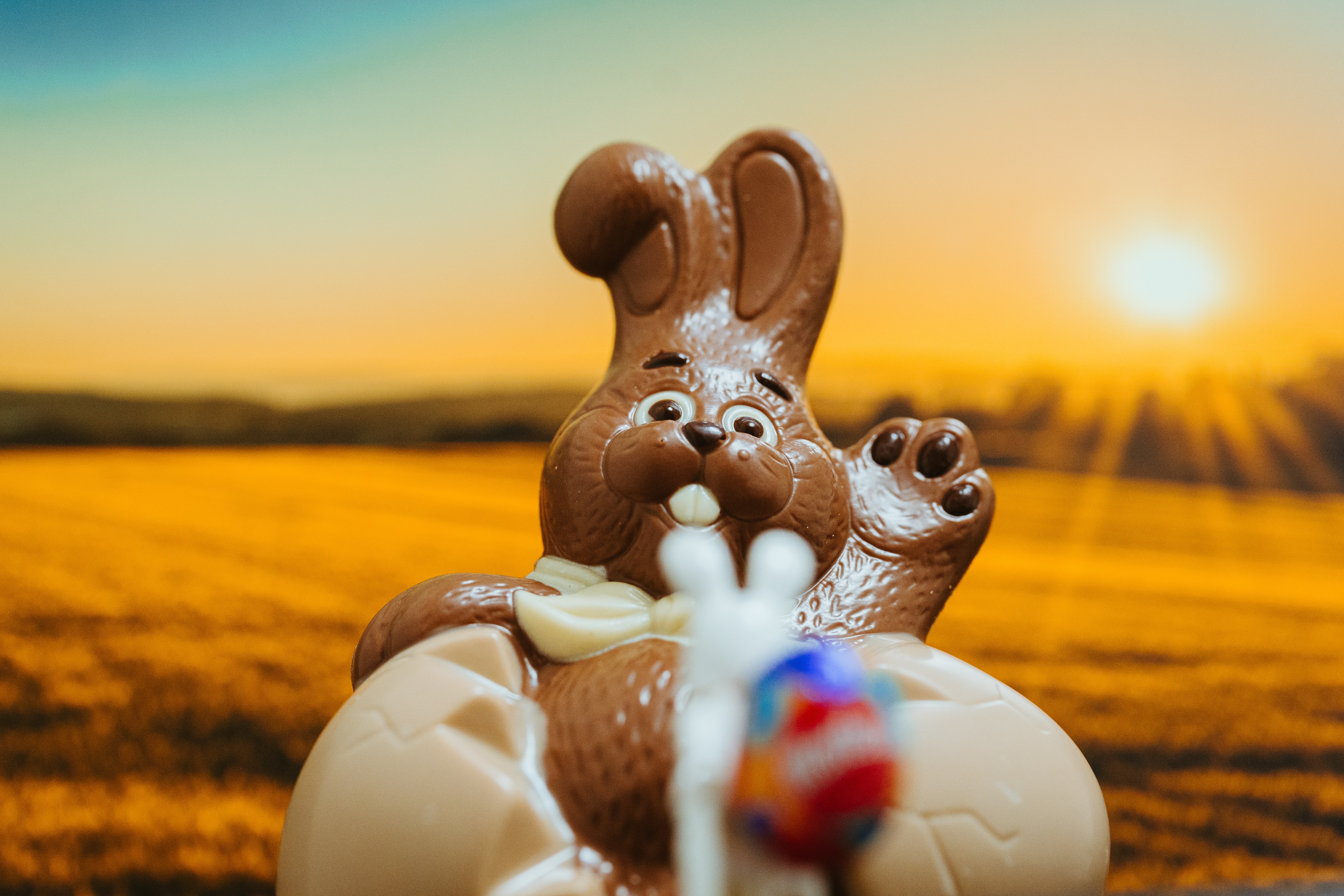 ASK A CHOCOLATE BUNNY: WHAT CHARACTER ARE YOU IN ‘THE WIZARD OF OZ’?