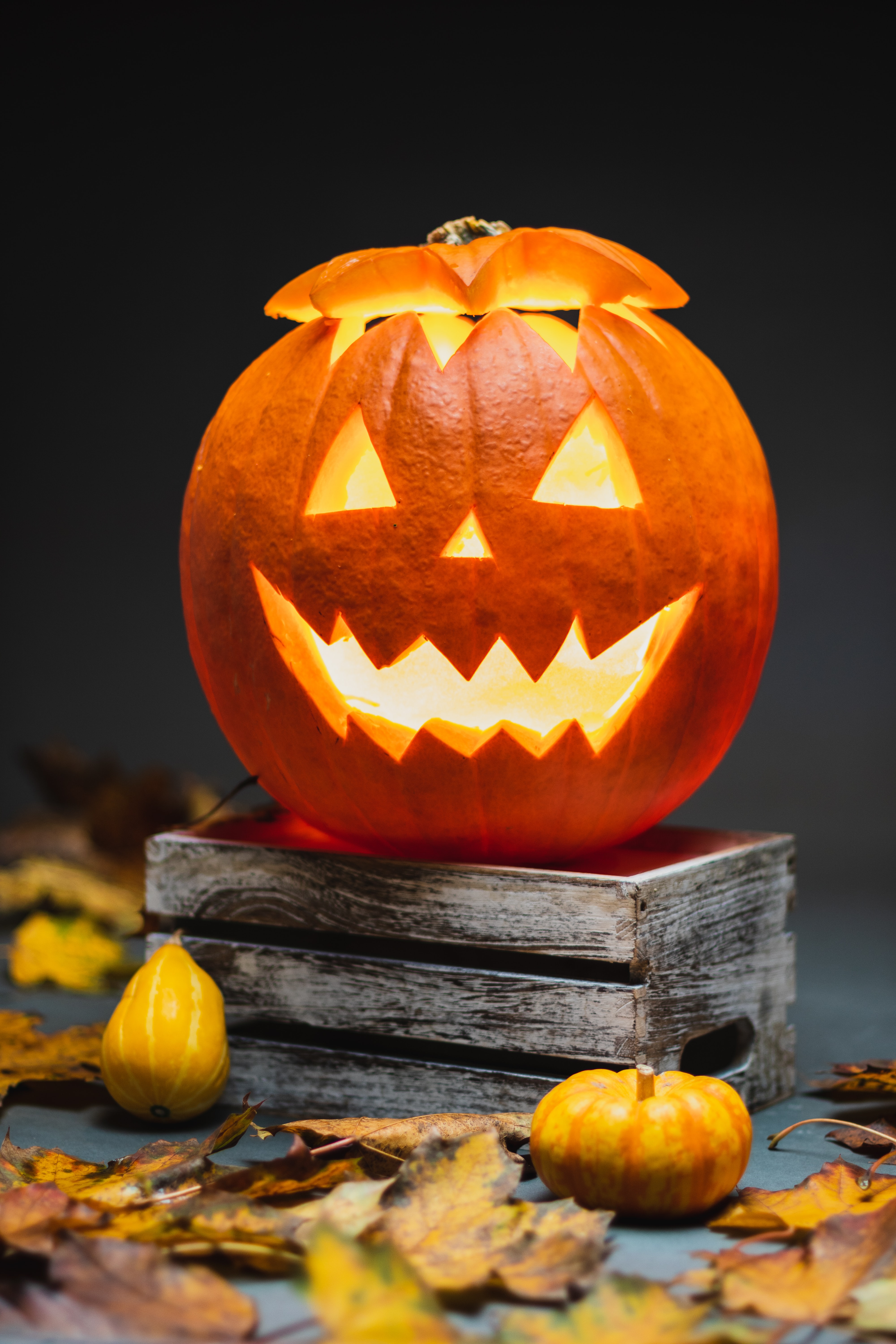 HAPPY HALLOWEEN, GORKO!