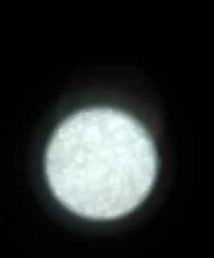 ‘my crapola under a microscope’ by Zane Zog