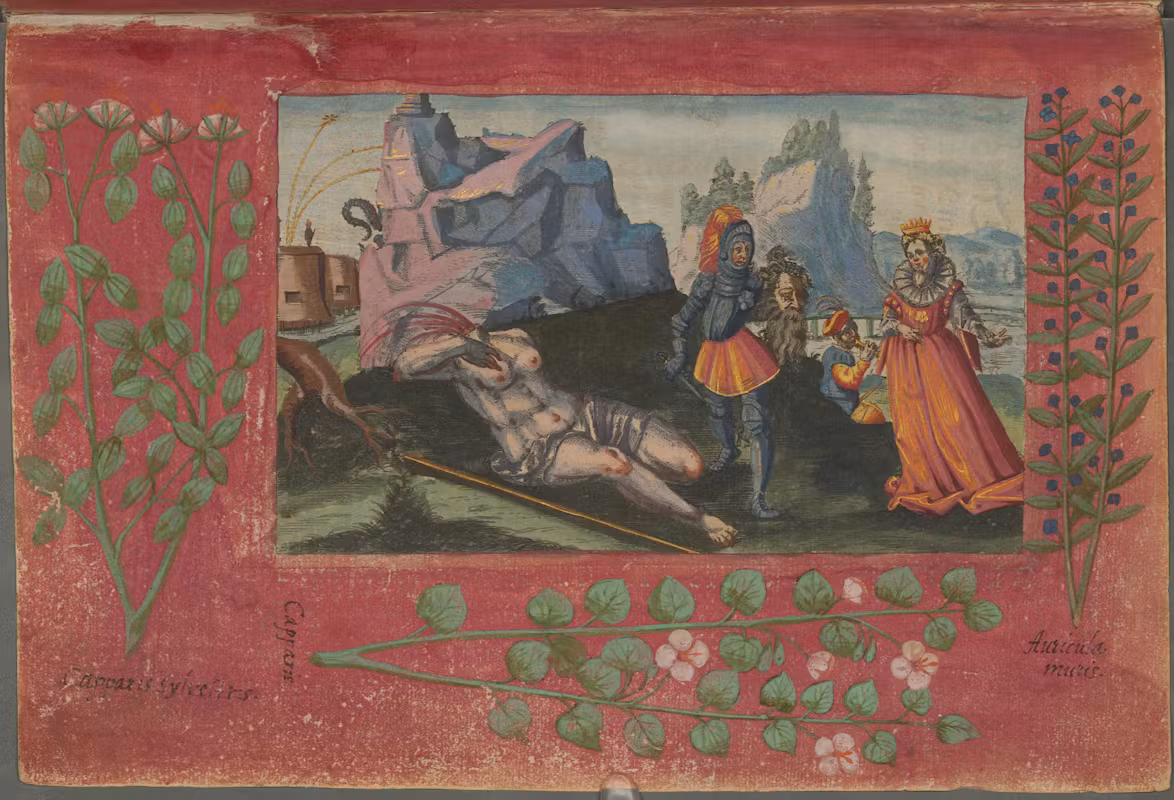 My Knight in Shining Armor by James Callan