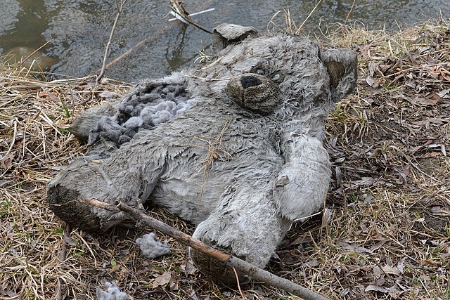 in the world and 2 more by Mykyta Ryzhykh