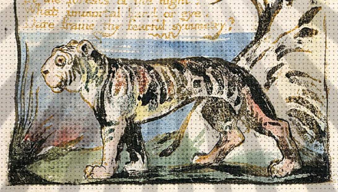 The Tyger by James Callan