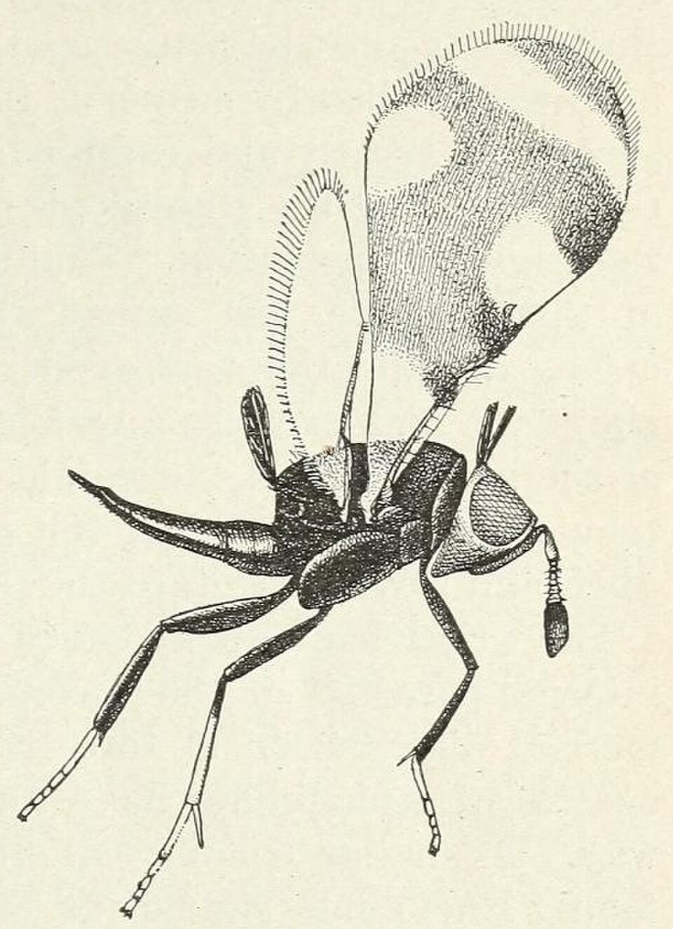 2 poems by Abbie Hart