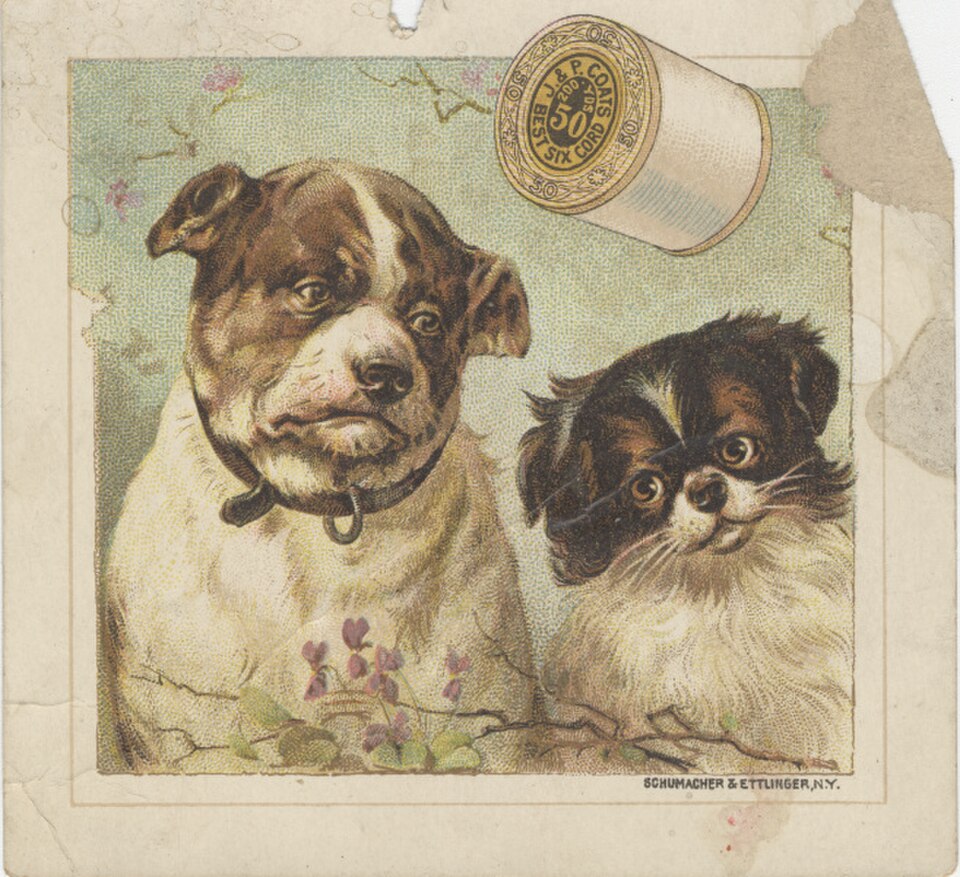 STILL FRUSTRATED THAT YOU CAN’T SPEAK PET? 3 VICTORIAN LANGUAGE HACKS ONCE THOUGHT LOST TO HISTORY